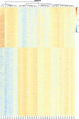 Analysis of mRNA Expression and DNA Methylation Datasets According to the Genomic Distribution of CpG Sites in Osteoarthritis